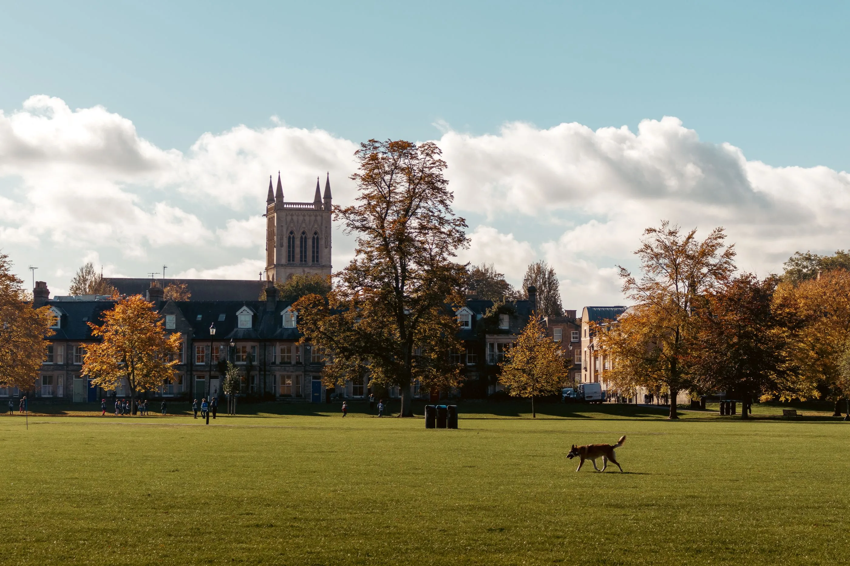 Jesus Green in Cambridge in autumn light, with residential terraces and the tower of St John's College chapel beyond the trees.